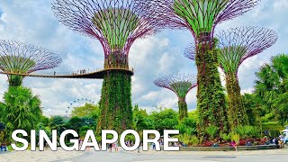 Singapore Gardens By The Bay Walking Tour 4K🇸🇬 [upl. by Duncan498]