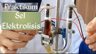 PRAKTIKUM ELEKTROLISIS [upl. by Darline]